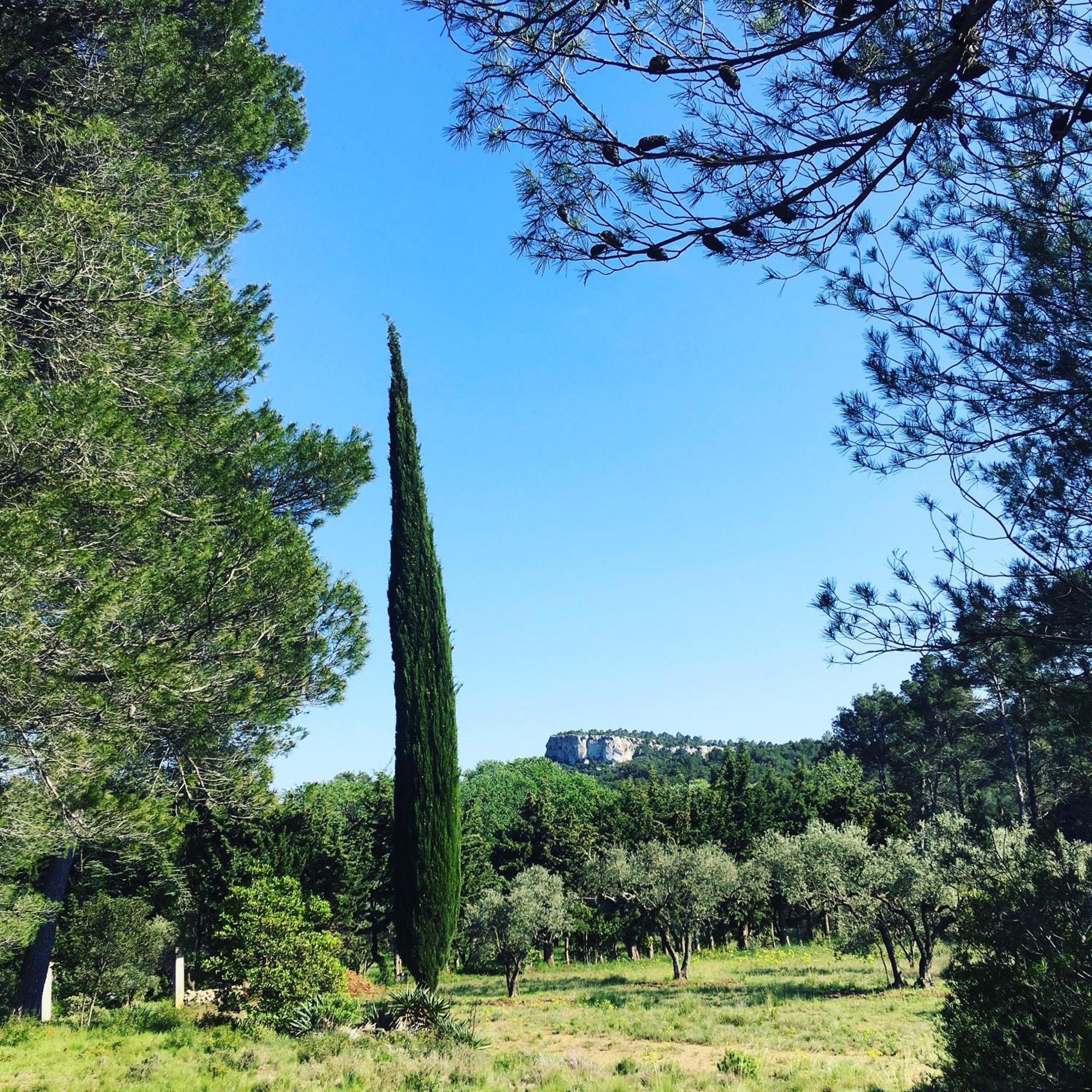 Cabane De La Leque Fontvieille Exteriör bild