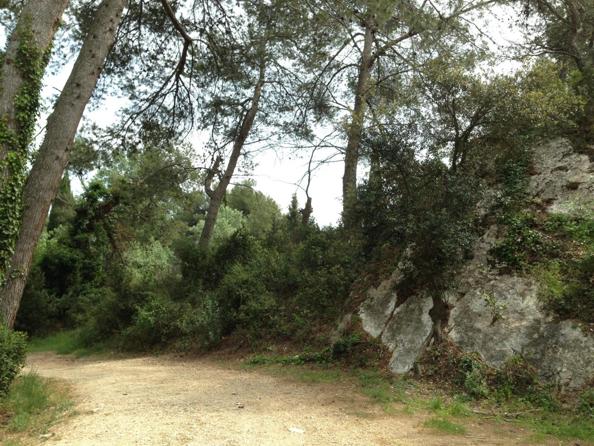 Cabane De La Leque Fontvieille Exteriör bild