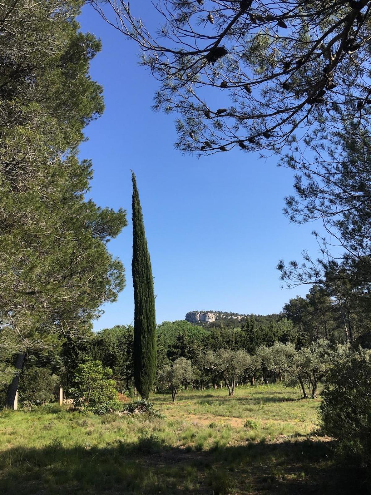 Cabane De La Leque Fontvieille Exteriör bild