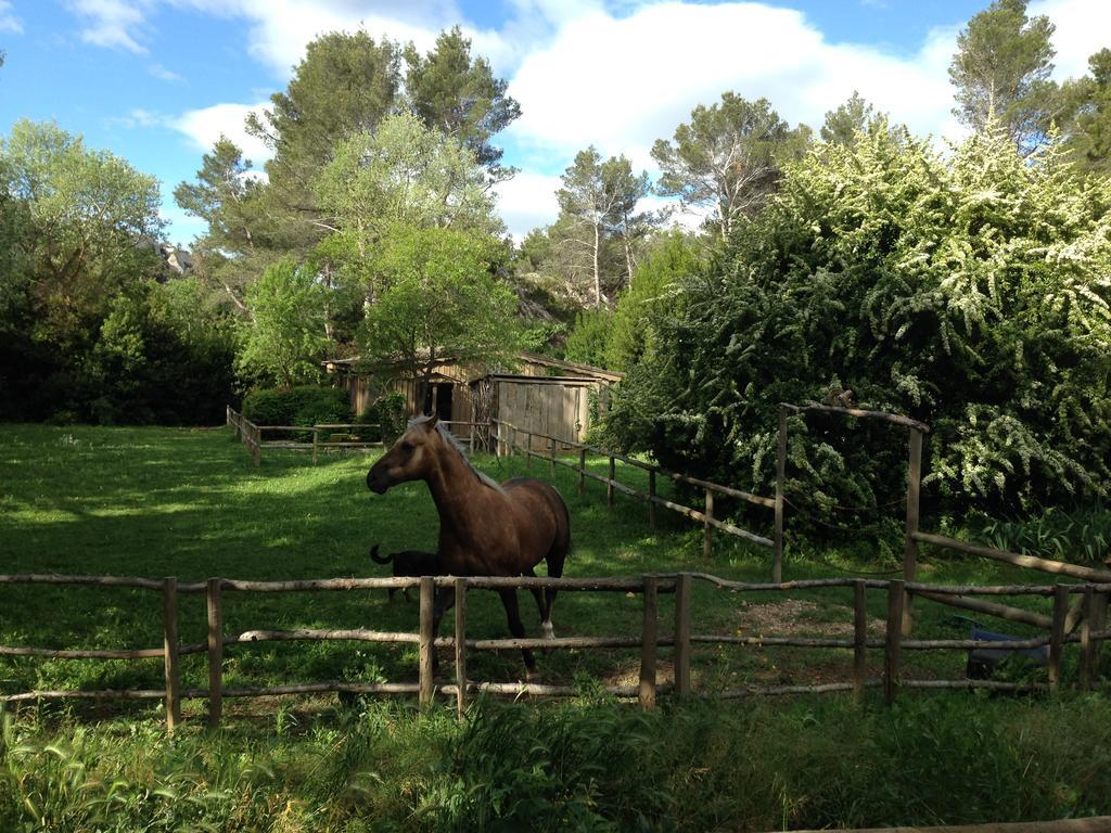 Cabane De La Leque Fontvieille Exteriör bild