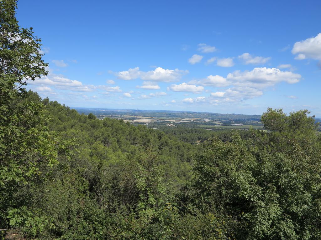 Cabane De La Leque Fontvieille Exteriör bild